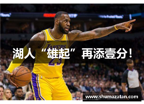 湖人“雄起”再添壹分！